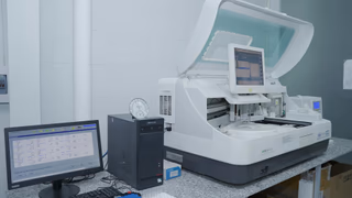 Jane Goodall on the Power of Everyday Choices