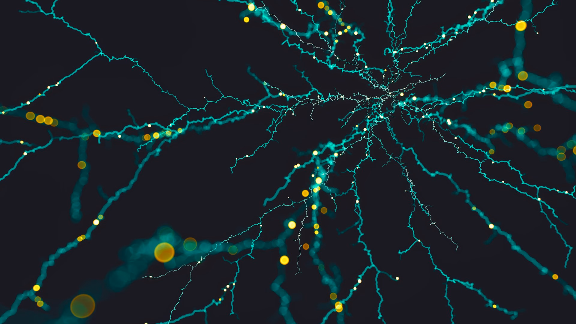 How the Brain Learns Rules and Exceptions