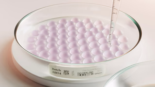 Precision Fermentation Dairy Leads Food Tech Scaleup