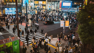 How Constant City Noise Resets Your Stress Baseline