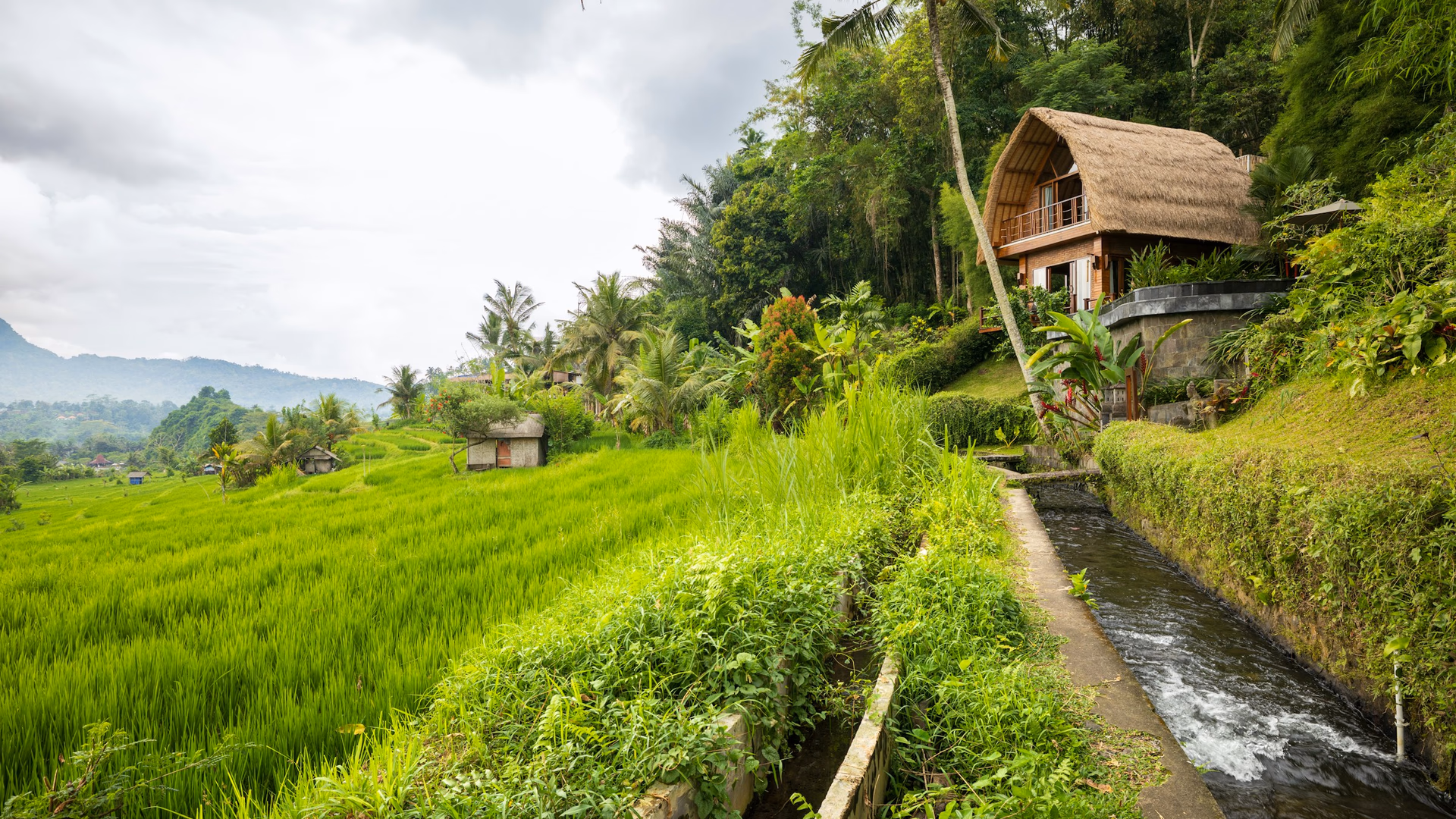What Regenerative Tourism Should Measure in Bali