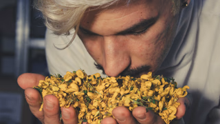 Your Brain Builds Flavor Before You Taste It