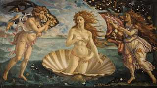 포말에서 피어나다