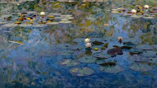 봄과 느낌, 그 흐릿한 경계에서