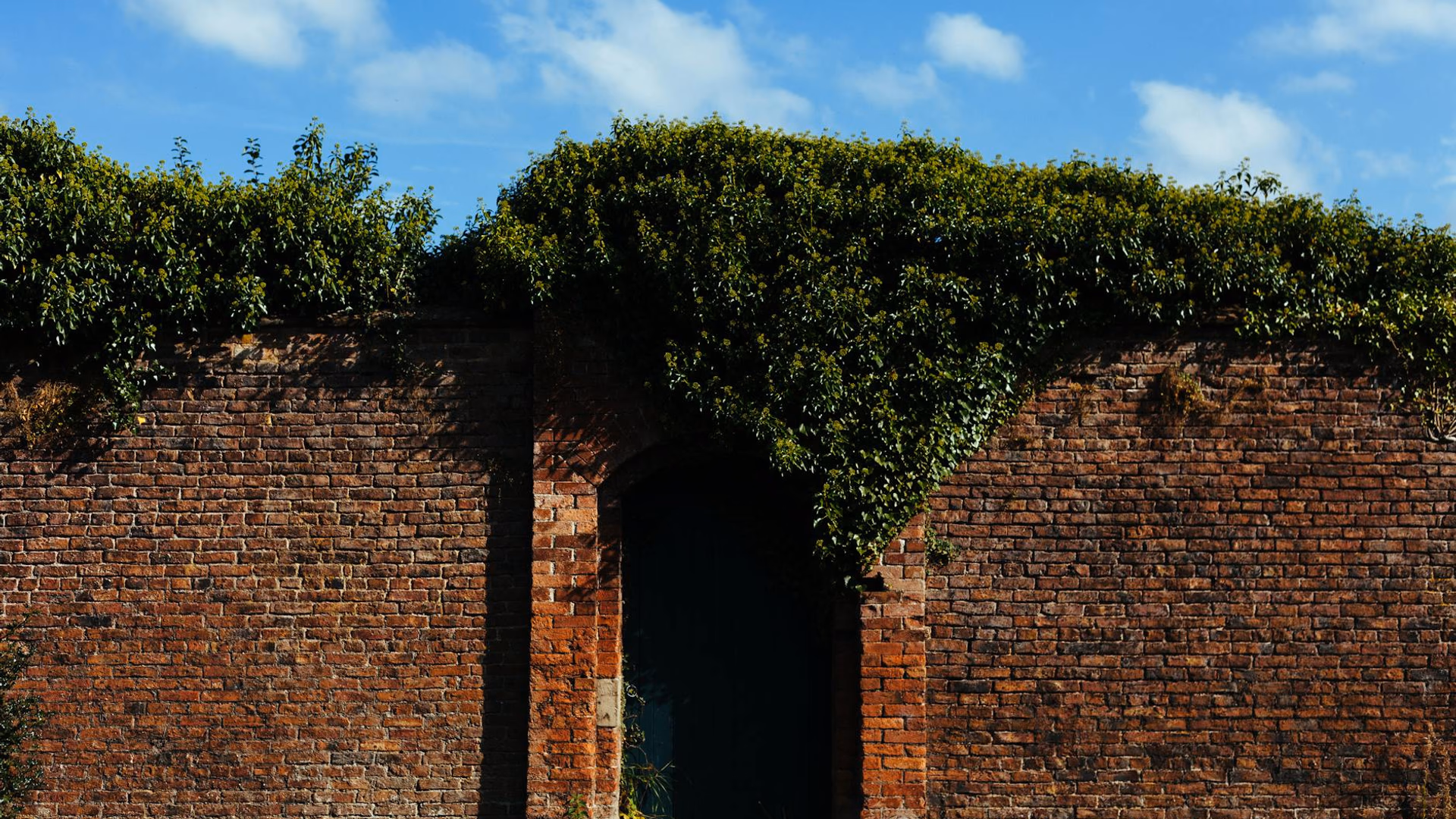 What Grows Behind the Locked Door