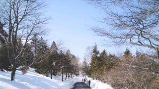 금빛이 살결에 닿는 순간