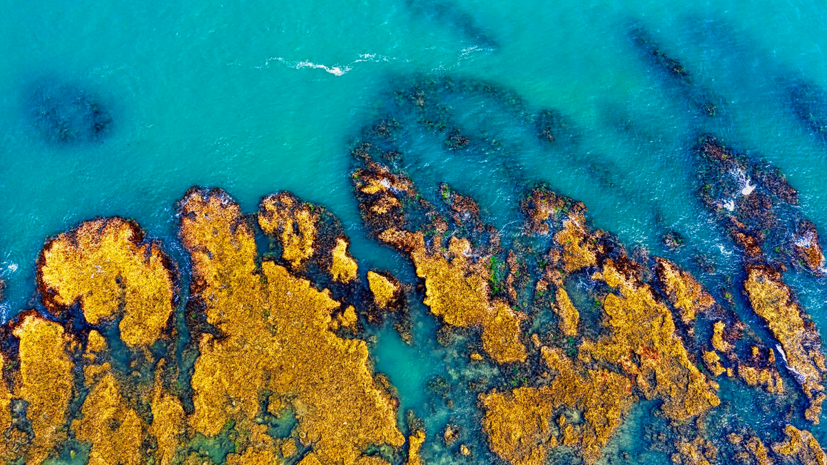 우리에게 등을 돌린 그 등