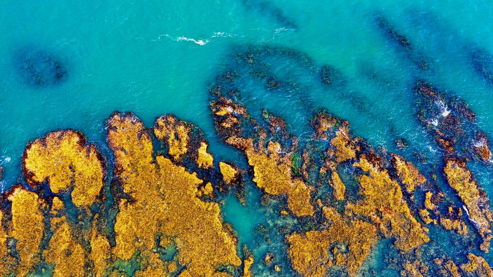 우리에게 등을 돌린 그 등