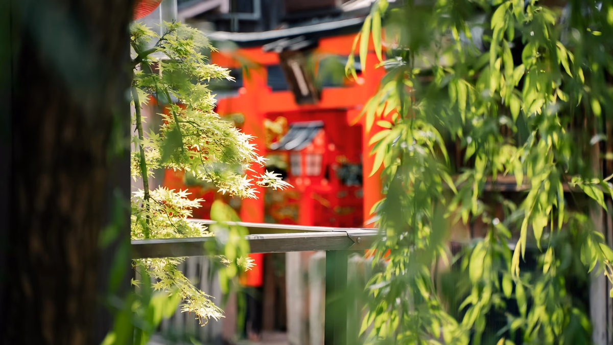 The Tunnel You Walk Through Alone