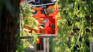 The Tunnel You Walk Through Alone