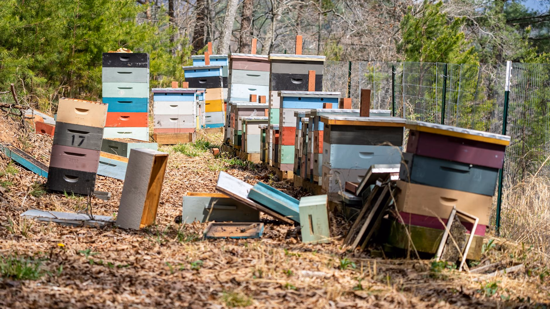 The Wisdom of Doing Nothing at All