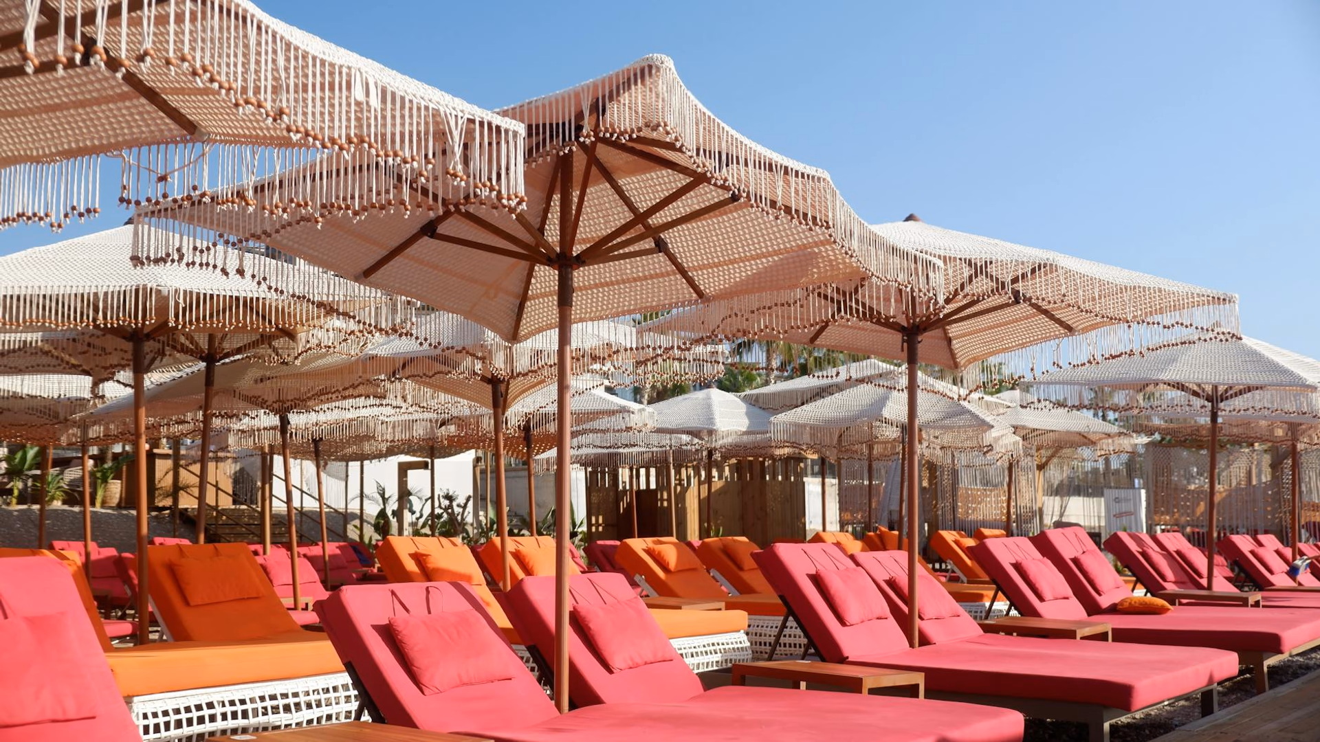 Millions of Dots, One Stillness