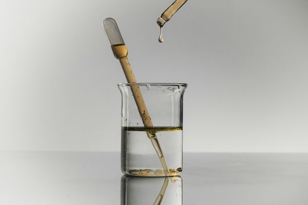 Marie Curie on the Value of Pure Scientific Research