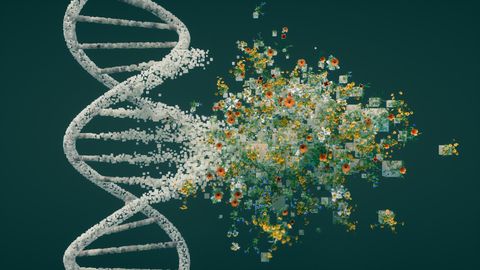 Verve's Gene Edit May End Daily Cholesterol Pills