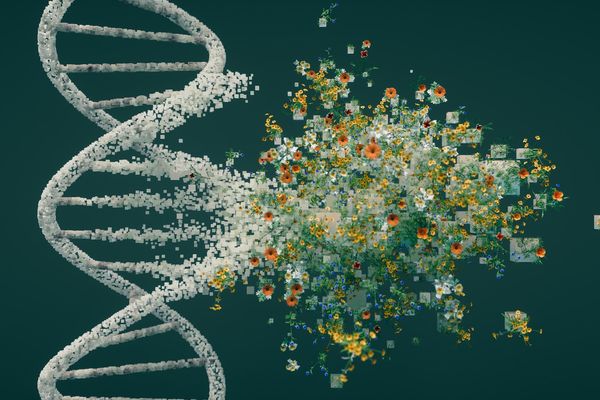 Verve's Gene Edit May End Daily Cholesterol Pills