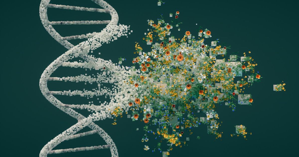 Verve's Gene Edit May End Daily Cholesterol Pills