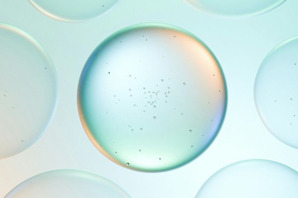 Richard Feynman on the Art of Not Fooling Yourself