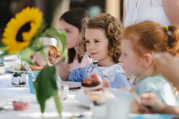 Plant Plunge Proves Future Docs Can Shift to WFPB in Weeks