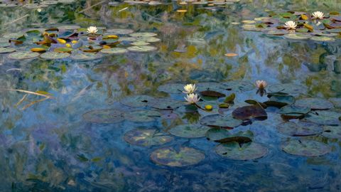 The Blur Between Seeing and Feeling