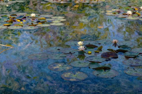 The Blur Between Seeing and Feeling