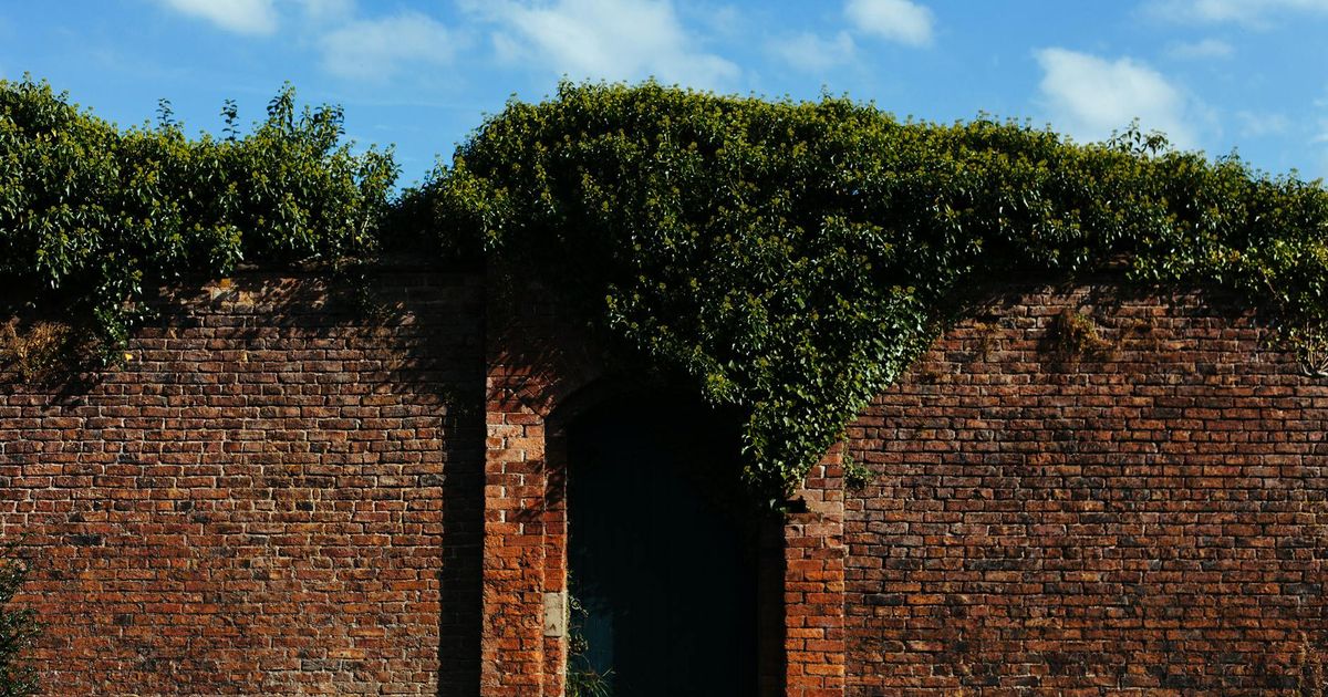 What Grows Behind the Locked Door