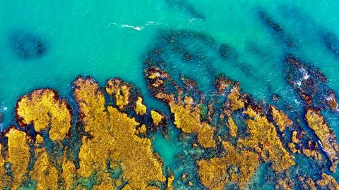 The Back That Faces Us