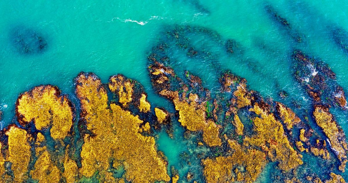 The Back That Faces Us