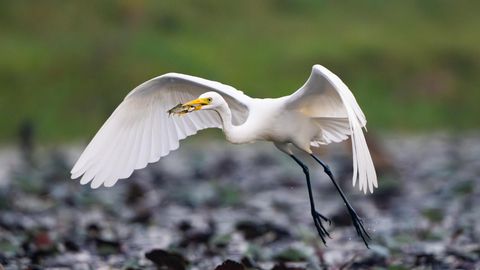 The Forge We Never Chose