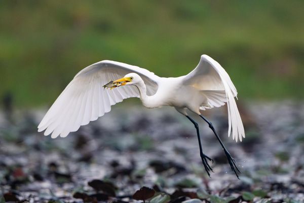 The Forge We Never Chose