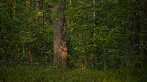 The Bridge Between Two Worlds